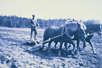 Maamies kyntöpuuhissa.